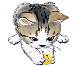 Dream cat 3 sticker #8748111