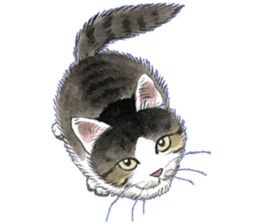 Dream cat 3 sticker #8748112