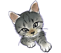 Dream cat 3 sticker #8748118