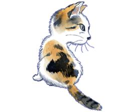 Dream cat 3 sticker #8748121