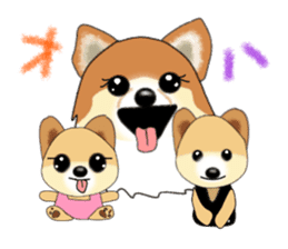 PON.de.Pomeranian sticker #8748149