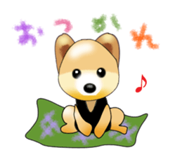 PON.de.Pomeranian sticker #8748152