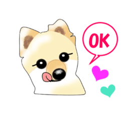 PON.de.Pomeranian sticker #8748158