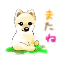 PON.de.Pomeranian sticker #8748162