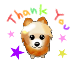 PON.de.Pomeranian sticker #8748166