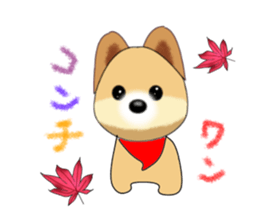 PON.de.Pomeranian sticker #8748167