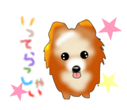PON.de.Pomeranian sticker #8748170