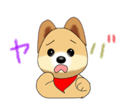 PON.de.Pomeranian sticker #8748171