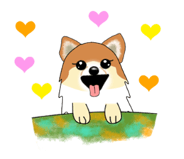 PON.de.Pomeranian sticker #8748173