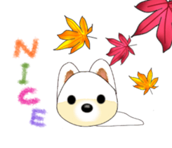 PON.de.Pomeranian sticker #8748176