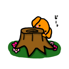 Kotsubuchan of the dog