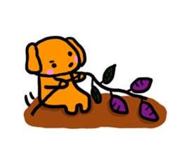 Kotsubuchan of the dog sticker #8749654