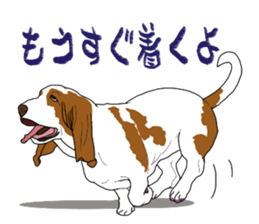Basset hound 3 sticker #8751143