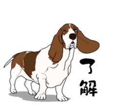 Basset hound 3 sticker #8751148