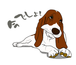 Basset hound 3 sticker #8751157