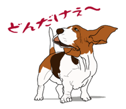 Basset hound 3 sticker #8751158