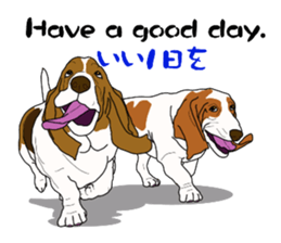Basset hound 3 sticker #8751162