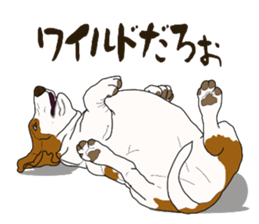 Basset hound 3 sticker #8751164