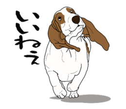 Basset hound 3 sticker #8751168