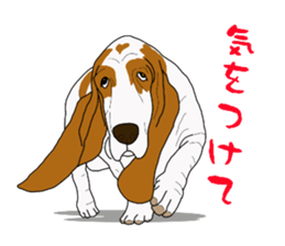 Basset hound 3 sticker #8751170