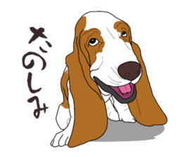 Basset hound 3 sticker #8751173
