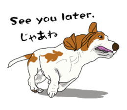 Basset hound 3 sticker #8751174