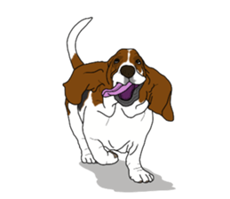 Basset hound 3 sticker #8751176
