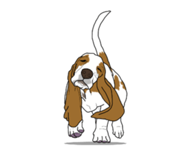 Basset hound 3 sticker #8751177
