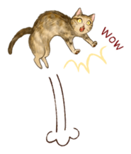 MEW PACK sticker #8751267