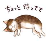 MEW PACK sticker #8751271