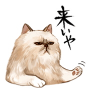 MEW PACK sticker #8751274