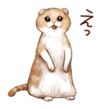 MEW PACK sticker #8751282