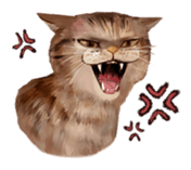 MEW PACK sticker #8751286