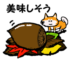 Shiba inu MOMO chan the third as well 11 sticker #8752178