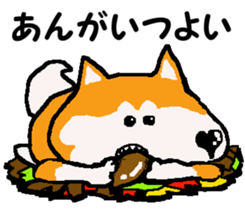 Shiba inu MOMO chan the third as well 11 sticker #8752180