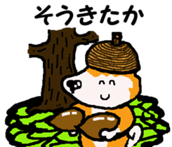 Shiba inu MOMO chan the third as well 11 sticker #8752186