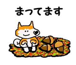 Shiba inu MOMO chan the third as well 11 sticker #8752187