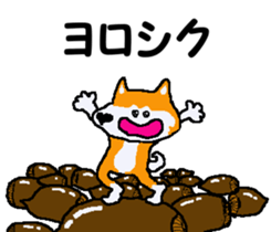 Shiba inu MOMO chan the third as well 11 sticker #8752188