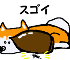 Shiba inu MOMO chan the third as well 11 sticker #8752193