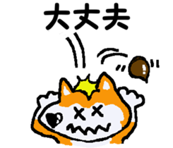 Shiba inu MOMO chan the third as well 11 sticker #8752195