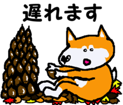 Shiba inu MOMO chan the third as well 11 sticker #8752198