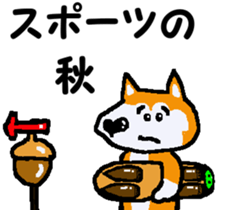 Shiba inu MOMO chan the third as well 11 sticker #8752211