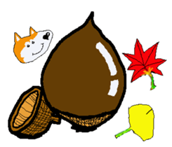 Shiba inu MOMO chan the third as well 11 sticker #8752216