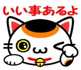 The cat which causes good luck sticker #8756655