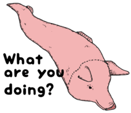 Pig eel. sticker #8761321