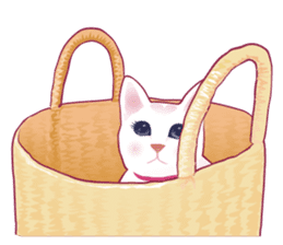 fashionable kawaii cat sticker #8761689
