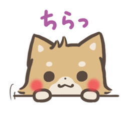 mild-Shiba-inu-emoticon sticker #8762487