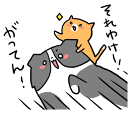 Daily life of dogs and cats sticker #8762500