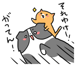 Daily life of dogs and cats sticker #8762500