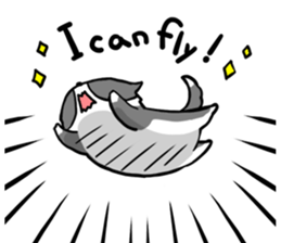 Daily life of dogs and cats sticker #8762508